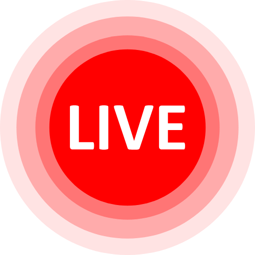 Dannihunt Cam